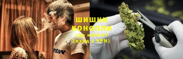 ГАЛЛЮЦИНОГЕННЫЕ ГРИБЫ Армянск