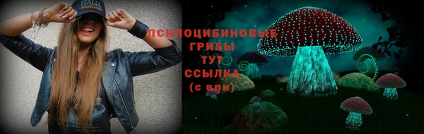 a pvp Аркадак