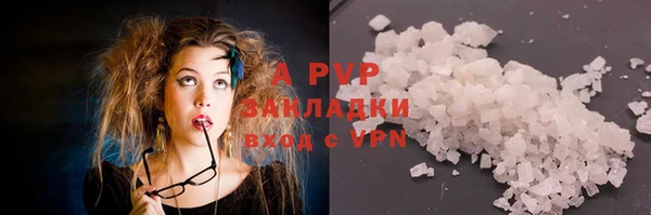 a pvp Аркадак