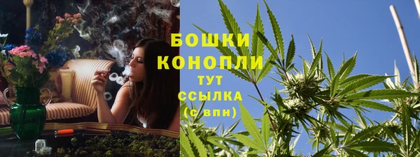 ГАЛЛЮЦИНОГЕННЫЕ ГРИБЫ Армянск