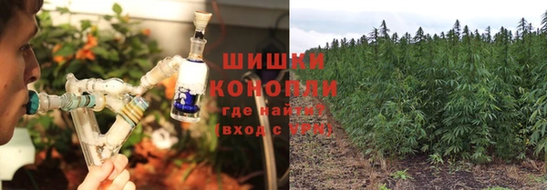 ГАЛЛЮЦИНОГЕННЫЕ ГРИБЫ Армянск
