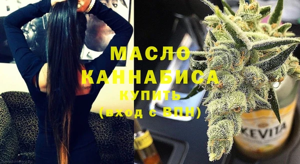 гашик Арсеньев