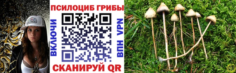 Псилоцибиновые грибы GOLDEN TEACHER  Можга 